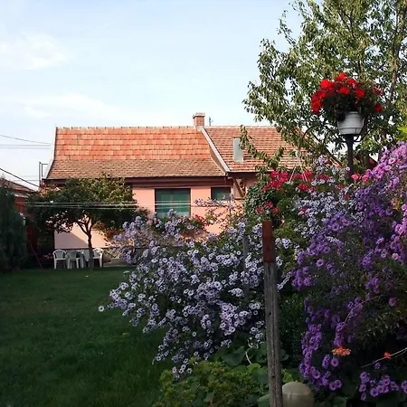 Lugas Szallas Konukevi 3*